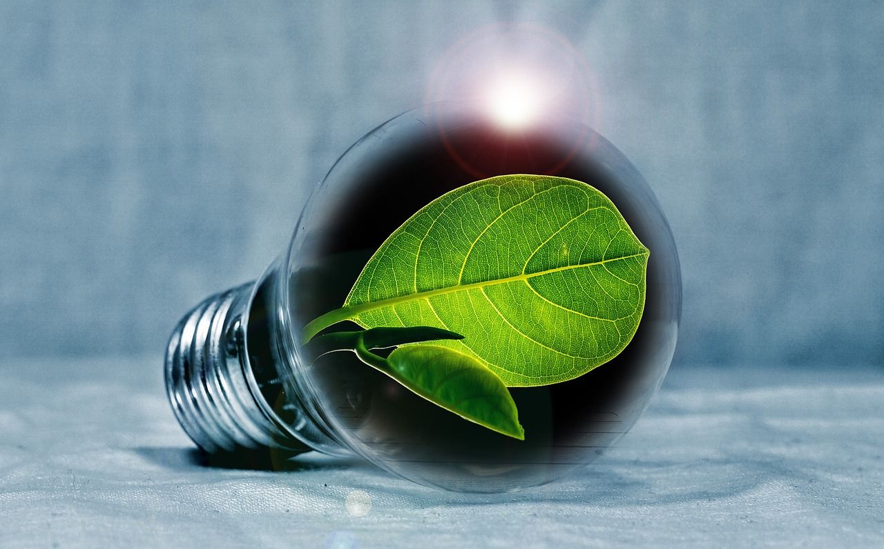 découvrez comment l'innovation transforme notre quotidien, des technologies de pointe aux nouvelles idées qui redéfinissent les industries. plongez dans un univers où créativité et progrès s'unissent pour façonner l'avenir.