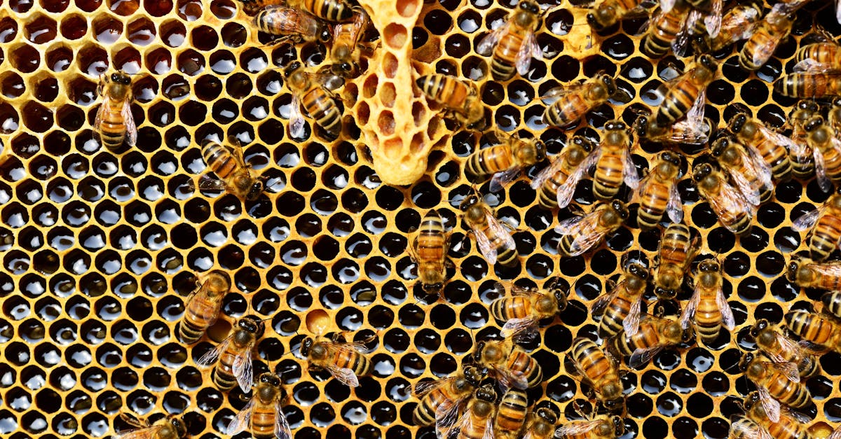 découvrez notre api puissante et flexible, conçue pour simplifier l'intégration et améliorer vos applications. profitez de fonctionnalités complètes, d'une documentation claire et d'un support dédié pour maximiser votre expérience utilisateur.