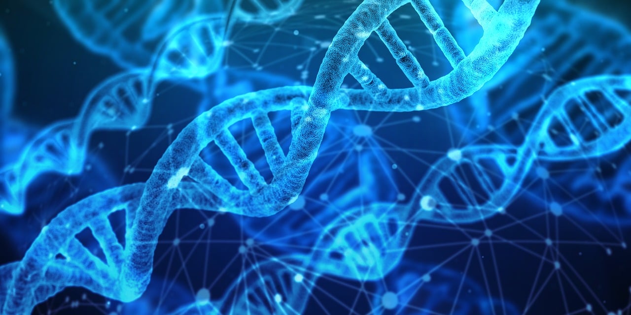 découvrez les dernières innovations qui transforment notre quotidien. de la technologie aux avancées écologiques, explorez comment ces nouvelles idées et créations redéfinissent notre avenir.