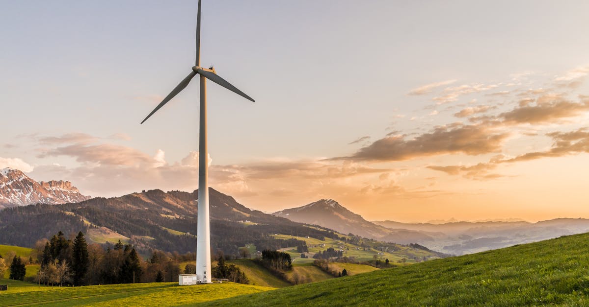 Développement durable : les clés pour un avenir responsable