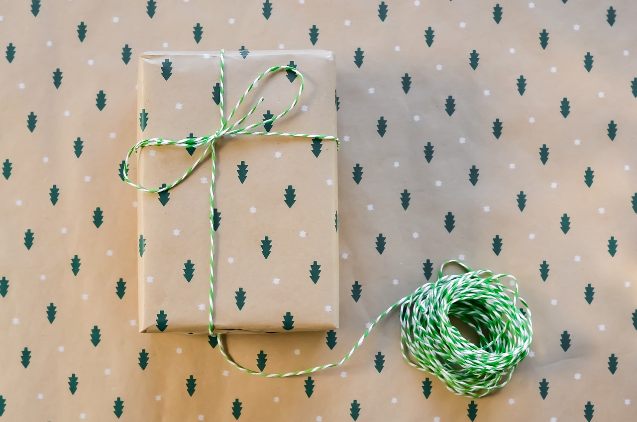 Noël 2024 : Découvrez notre sélection de cadeaux High-Tech incontournables qui font rêver cette saison