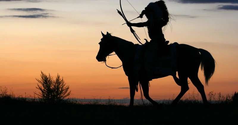Selle et cheval : ce qu'il faut savoir avant de monter
