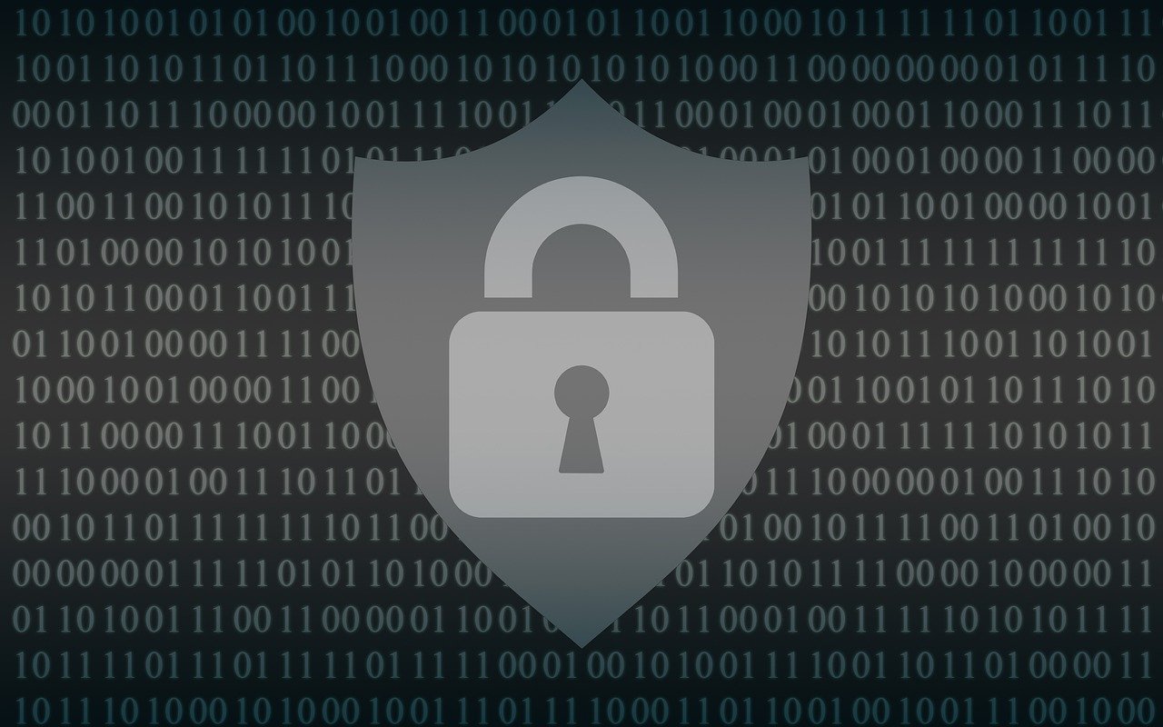 Plongée dans le métier de développeur en cybersécurité : rôles, parcours de formation et échelles salariales