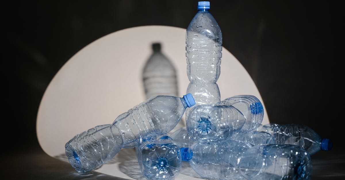 Économie circulaire : comprendre son impact sur le développement durable