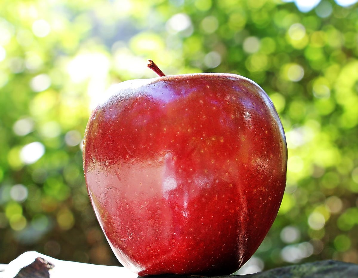 Apple à 50 ans : huit jalons majeurs qui ont révolutionné notre quotidien