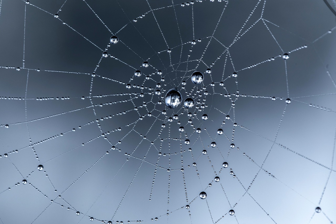 Core Web Vitals : Comprendre et Optimiser les Indicateurs Clés de Performance Web