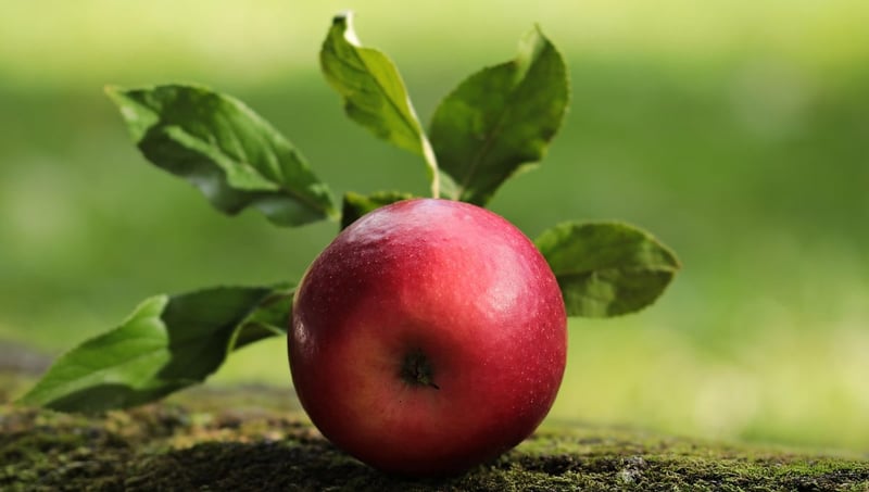 Technologie : Célébration des 50 ans d’Apple – Cinq anecdotes étonnantes à découvrir sur la marque iconique