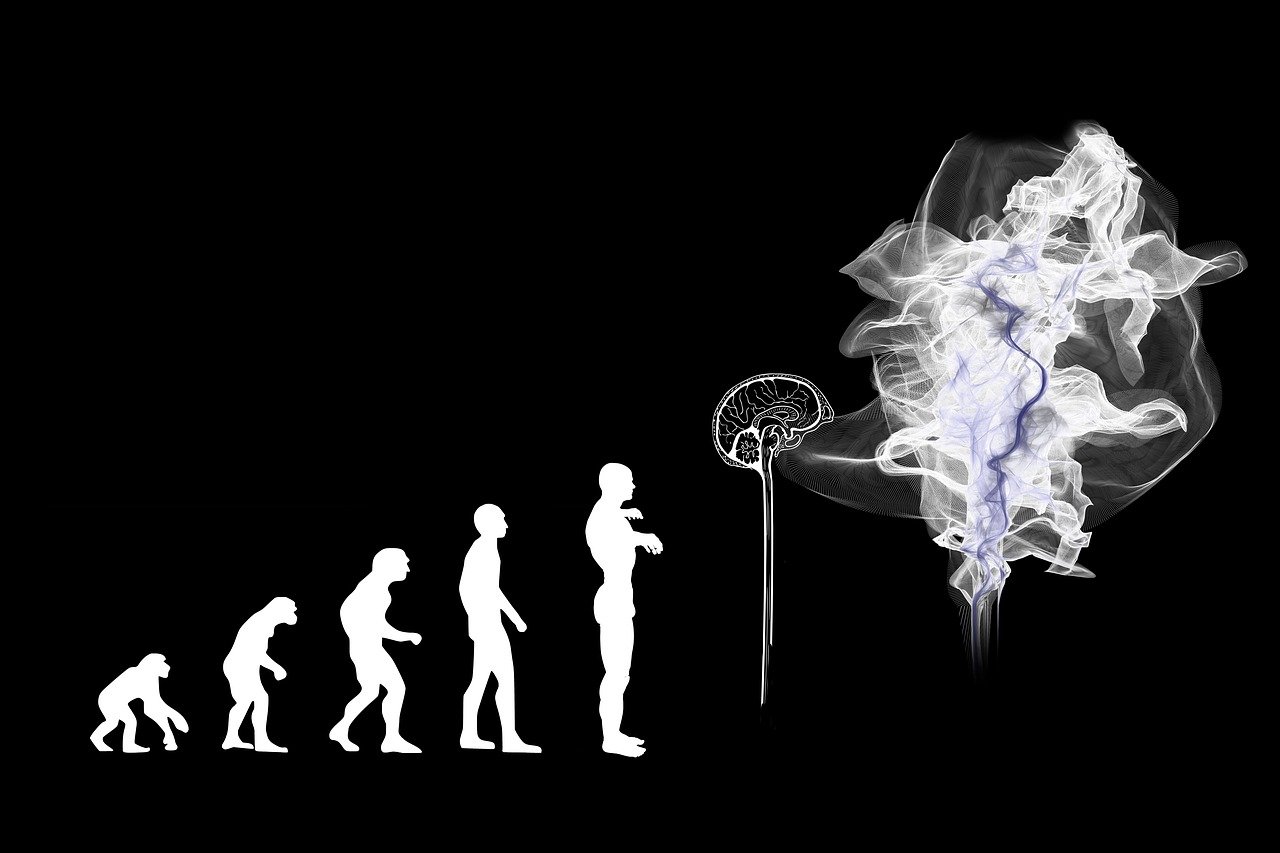 découvrez le concept d'évolution, un processus fascinant qui explique le développement des espèces au fil du temps. plongez dans les mécanismes de la sélection naturelle, l'adaptation et les transformations biologiques accompagnant la diversité de la vie sur terre.