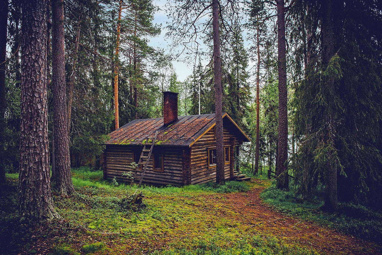 découvrez la finlande, un pays nordique fascinant réputé pour ses paysages époustouflants, ses lacs paisibles, ses forêts denses et sa culture riche. explorez les aurores boréales, le design scandinave et les traditions uniques qui font de la finlande une destination incontournable pour les voyageurs.