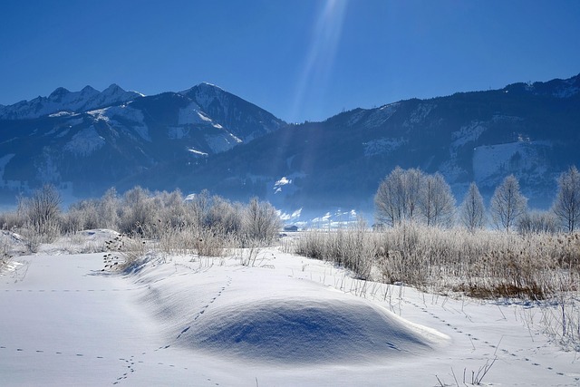 Super Micro Computer : Prêt à Façonner les Tendances Technologiques de Demain ? Explorez son Potentiel dès Aujourd’hui !