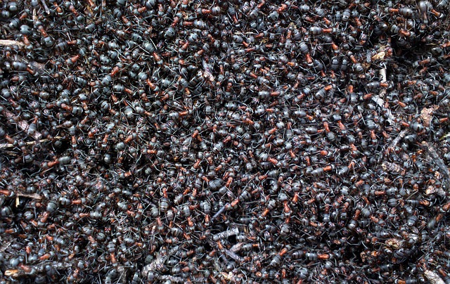 Explorez les raisons pour lesquelles Genpact Limited pourrait devenir l&rsquo;action incontournable dans le secteur informatique en 2025