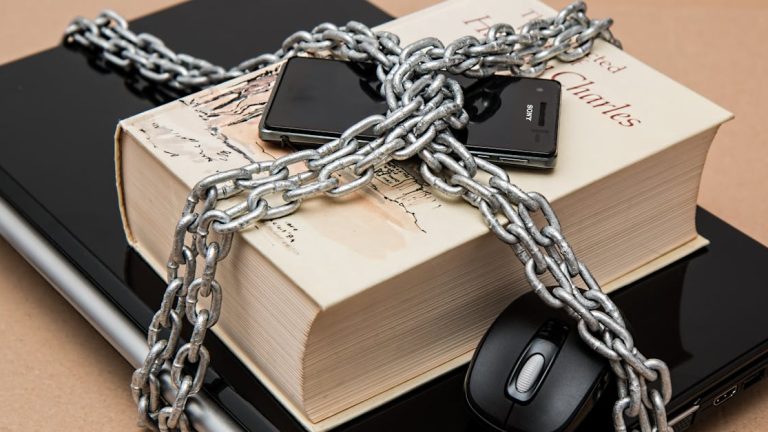 Cybers&eacute;curit&eacute; : les meilleures pratiques pour prot&eacute;ger vos donn&eacute;es en 2025