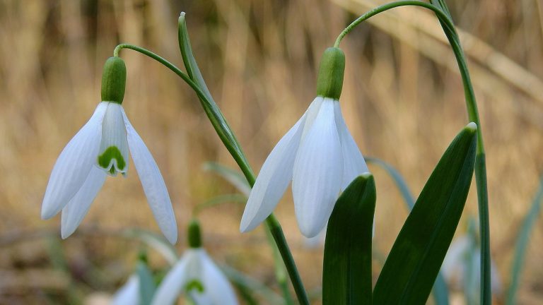 Numeum met en lumi&egrave;re le climat morose qui s&rsquo;installe dans le secteur num&eacute;rique