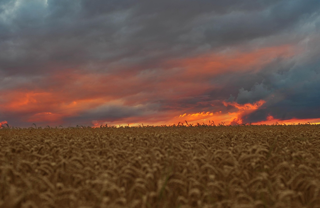LDLC.com s&rsquo;installe &agrave; Poitiers : une 45e boutique pour le leader de la vente de produits informatiques et high-tech