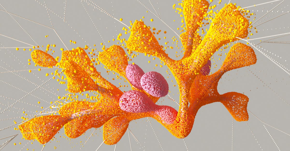 découvrez le machine learning, une technologie révolutionnaire qui permet aux ordinateurs d'apprendre et de s'améliorer automatiquement à partir de données. explorez ses applications dans différents domaines et comment elle transforme notre façon de vivre et de travailler.