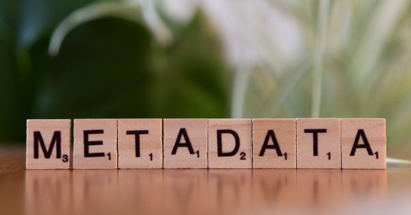 CMS : guide complet pour choisir le bon système de gestion de contenu