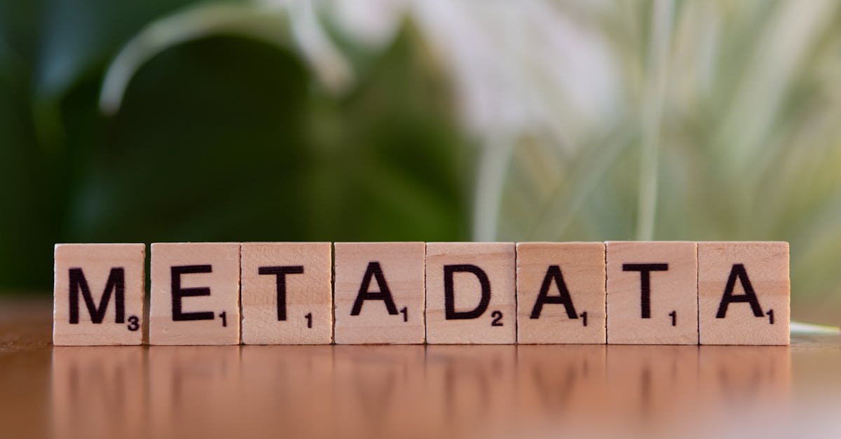 découvrez notre système de gestion de contenu (cms) intuitif et puissant, conçu pour simplifier la création, la gestion et la publication de vos contenus en ligne. idéal pour les entreprises de toutes tailles, notre cms offre des fonctionnalités flexibles et des outils adaptés pour booster votre présence sur le web.