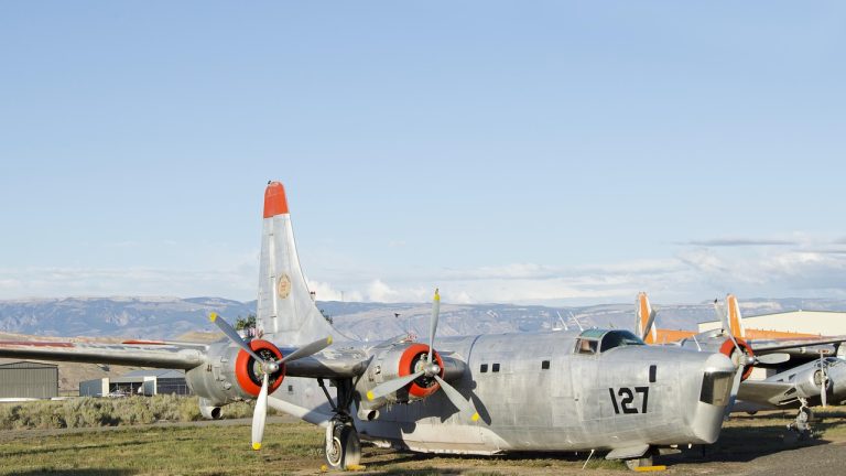 Plong&eacute;e dans l&rsquo;ombre : le KGB et la Stasi, les acteurs discrets de la Guerre froide