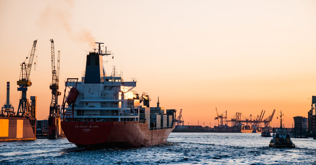 découvrez tout ce qu'il faut savoir sur les conteneurs : types, avantages, usages et applications dans divers secteurs. optimisez votre logistique et votre transport avec des solutions de conteneurs adaptées à vos besoins.