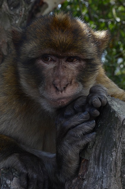 VivaTech 2025 : découvrez tout ce qu’il faut savoir sur le salon des technologies et de l’innovation