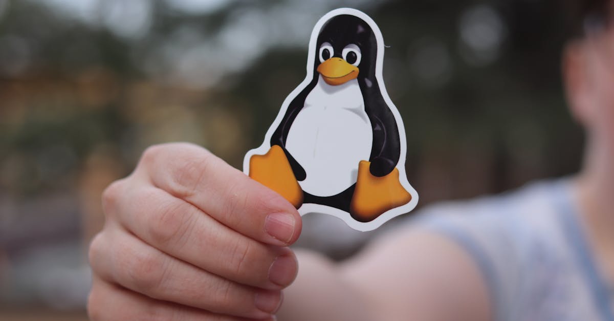 découvrez l'univers de linux, un système d'exploitation open source puissant et polyvalent, idéal pour les développeurs et les utilisateurs souhaitant personnaliser leur expérience informatique. explorez ses distributions variées, ses outils et ses communautés actives pour maximiser votre productivité.