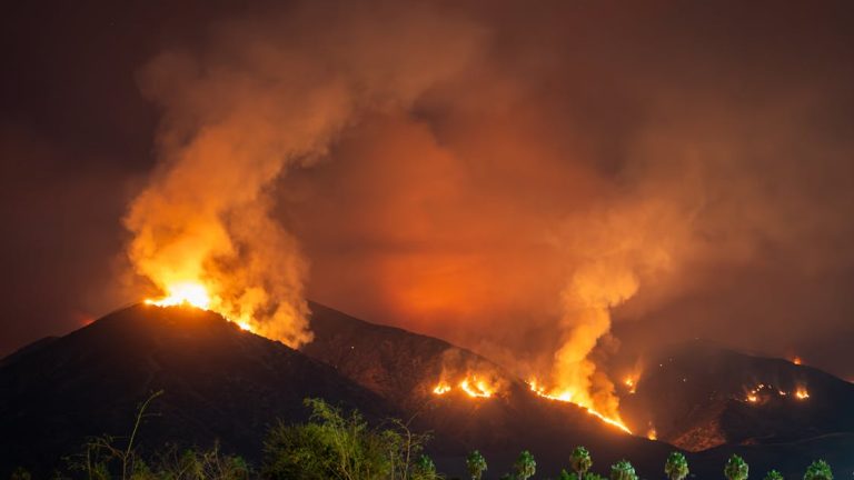 R&eacute;action aux incidents : strat&eacute;gies efficaces pour g&eacute;rer les crises