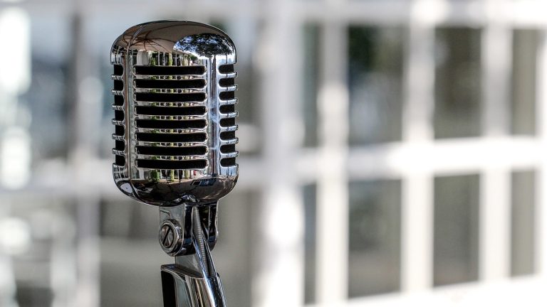 D&eacute;couvrez les 10 meilleurs g&eacute;n&eacute;rateurs de voix AI de 2025