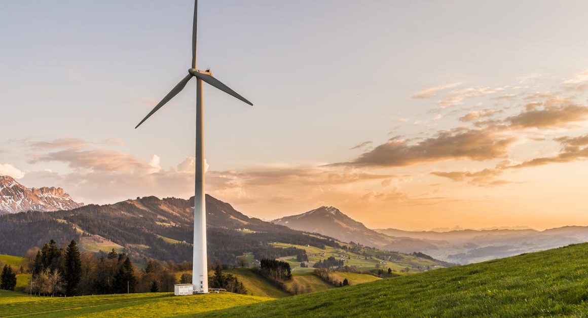 découvrez comment adopter des pratiques durables au quotidien, protéger l'environnement et favoriser un avenir écoresponsable grâce à des conseils simples et efficaces sur la durabilité.