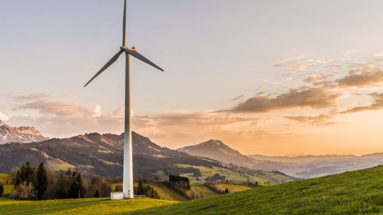 d&eacute;couvrez comment adopter des pratiques durables au quotidien, prot&eacute;ger l'environnement et favoriser un avenir &eacute;coresponsable gr&acirc;ce &agrave; des conseils simples et efficaces sur la durabilit&eacute;.