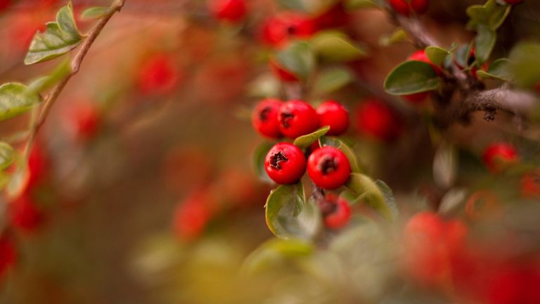 d&eacute;couvrez comment la croissance technologique transforme notre quotidien, stimule l'innovation et fa&ccedil;onne le futur des entreprises et de la soci&eacute;t&eacute;.