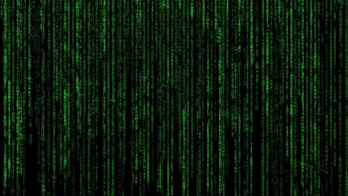découvrez l’essentiel de la cybersécurité : protègéz vos données, anticipez les cybermenaces et adoptez les meilleures pratiques pour une sécurité informatique optimale.