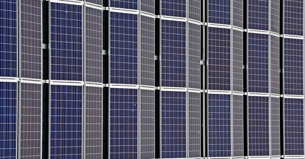 découvrez comment adopter des pratiques durables pour protéger l’environnement, préserver les ressources naturelles et construire un avenir responsable grâce à des conseils et solutions en matière de sustainability.