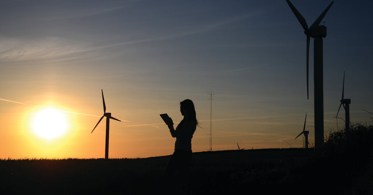 découvrez comment adopter des pratiques durables au quotidien pour protéger l’environnement, économiser les ressources et bâtir un avenir plus vert grâce à des conseils et solutions sur la durabilité.