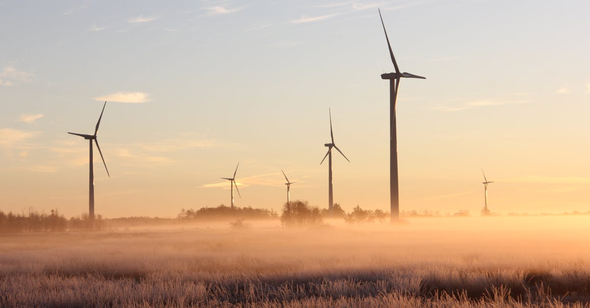 découvrez comment adopter des pratiques durables au quotidien pour préserver l’environnement et favoriser un avenir plus responsable. conseils, solutions et actualités sur la durabilité.