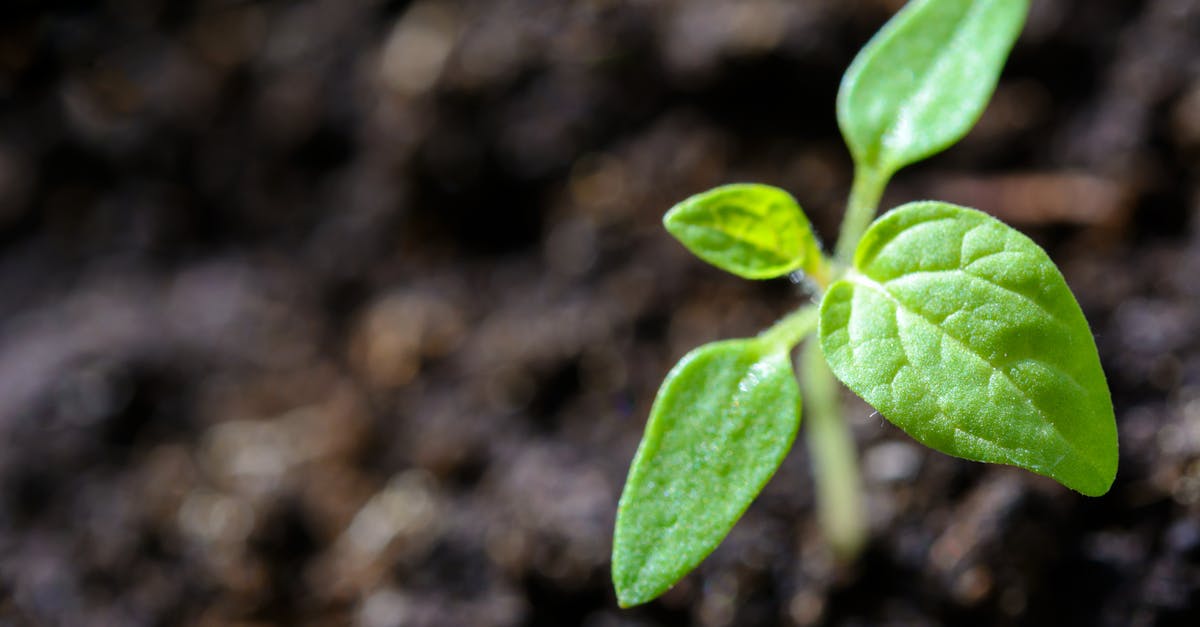 découvrez comment adopter des pratiques durables pour préserver l’environnement, réduire votre empreinte écologique et favoriser un avenir plus responsable grâce à nos conseils et ressources sur la sustainability.
