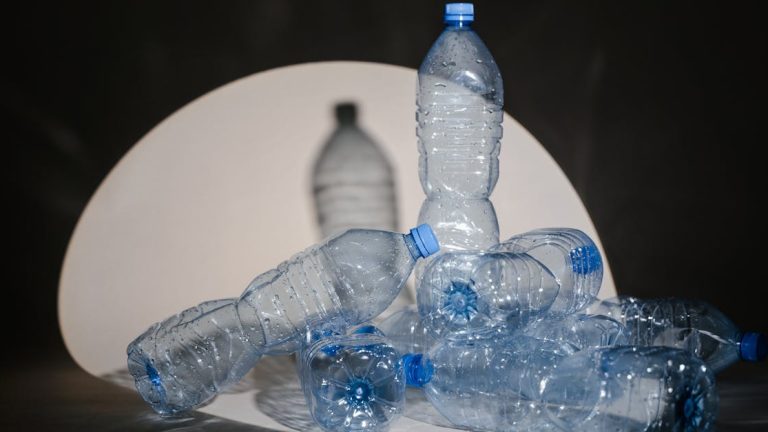 &Eacute;conomie circulaire : comprendre son impact sur le d&eacute;veloppement durable