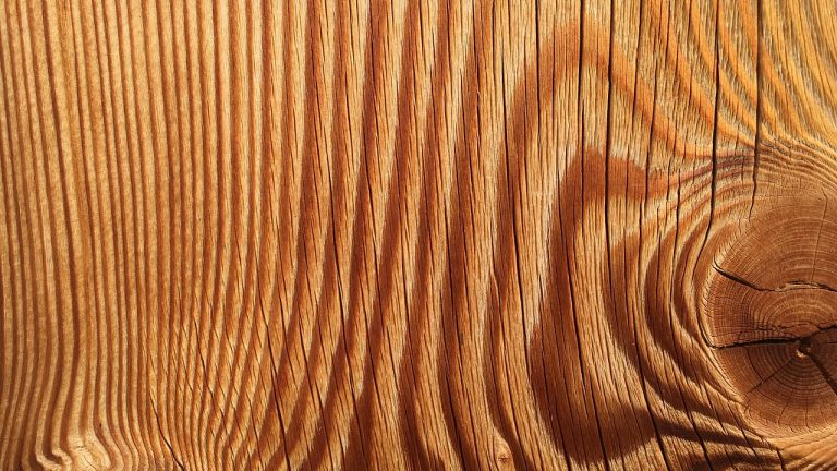 Exploration de la Direction du CERN : Perspectives et Projets de 2026 &agrave; 2030, Partie 2