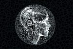 découvrez ce qu'est la suprématie quantique, une étape clé dans le développement de l'informatique quantique où les ordinateurs quantiques surpassent les ordinateurs classiques dans la résolution de certains problèmes complexes.
