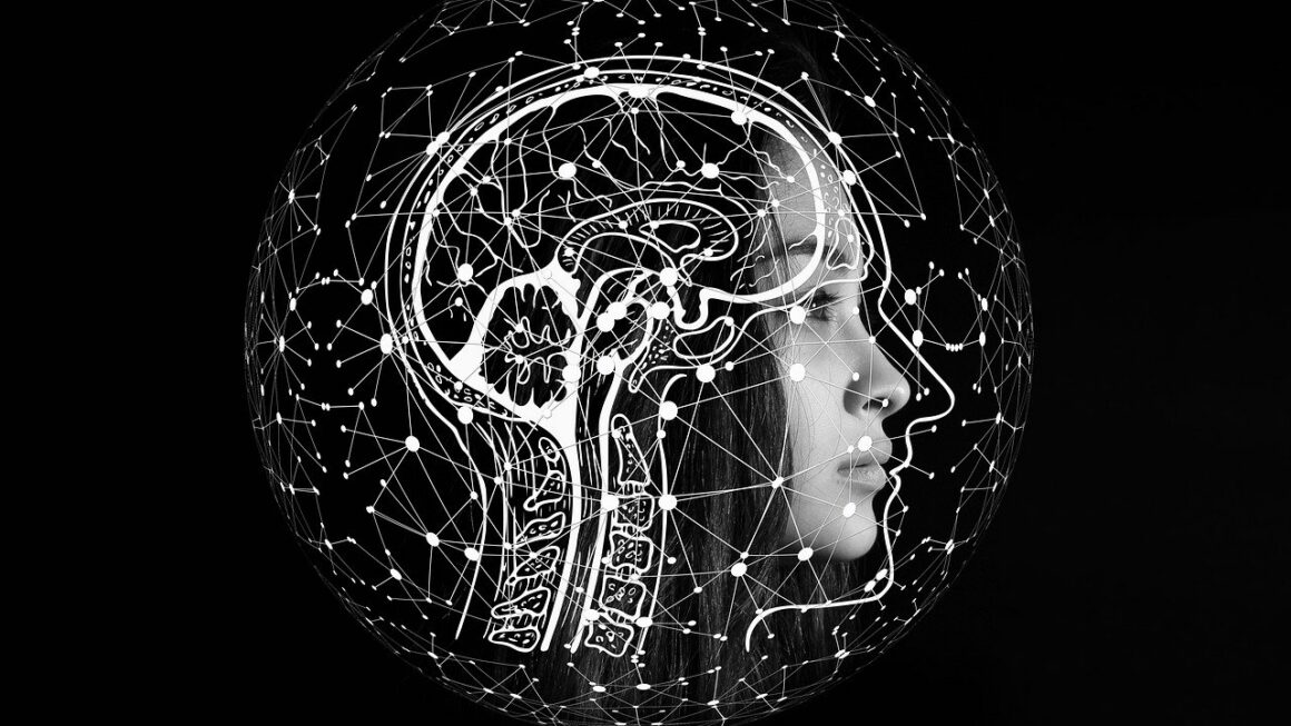 découvrez les meilleures formations en informatique en ligne. obtenez votre diplôme en sciences informatiques à distance, reconnu et flexible, pour booster votre carrière dans le numérique.
