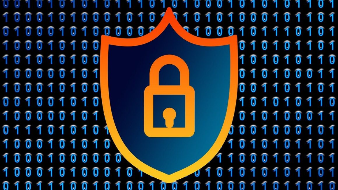 protégez vos informations personnelles avec des conseils pratiques sur la confidentialité des données. découvrez les meilleures pratiques et les outils pour assurer la sécurité de vos données en ligne.