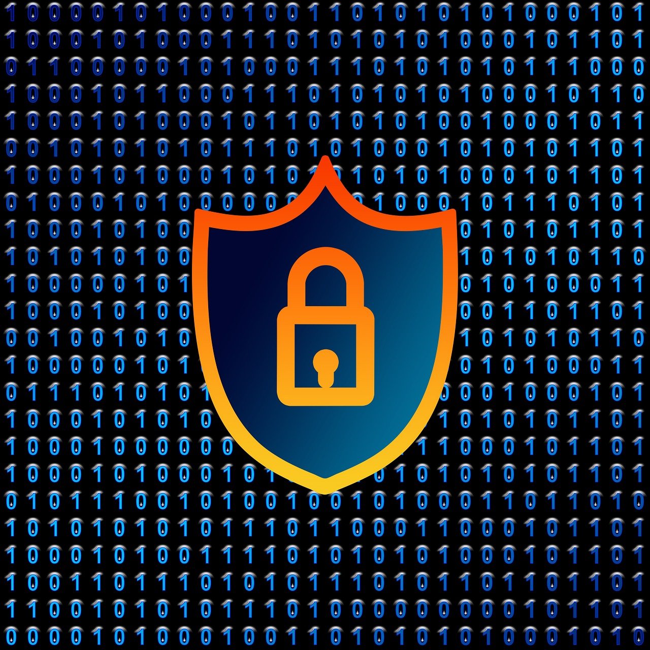 protégez vos informations personnelles avec des conseils pratiques sur la confidentialité des données. découvrez les meilleures pratiques et les outils pour assurer la sécurité de vos données en ligne.