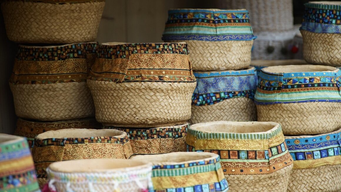 logiciel de gestion distribuée des performances et de la disponibilité : solutions avancées pour optimiser la performance et assurer la continuité des services dans les infrastructures informatiques distribuées.