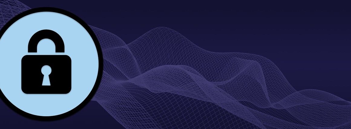 d&eacute;couvrez les meilleures pratiques et solutions en cybers&eacute;curit&eacute; pour prot&eacute;ger vos donn&eacute;es et pr&eacute;venir les cyberattaques efficacement.