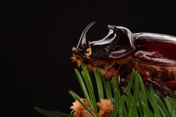 Windows 11 : Microsoft résout enfin un bug qui perturbait les joueurs depuis mai