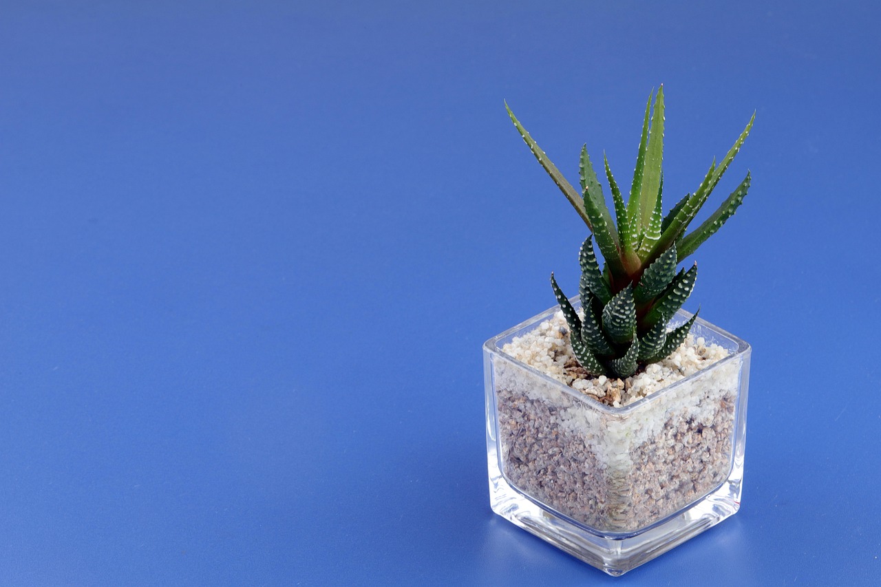 d&eacute;couvrez notre s&eacute;lection de mini pc compacts et performants, id&eacute;aux pour optimiser votre espace tout en profitant d'une puissance remarquable.