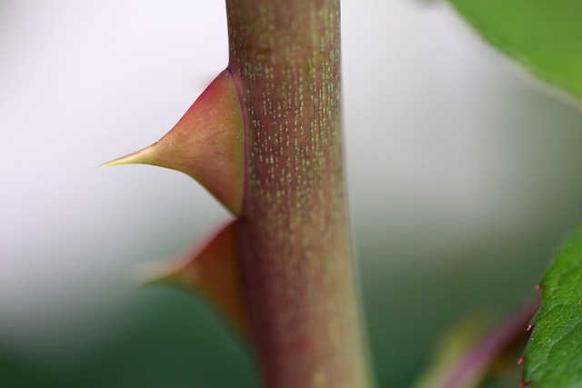 Cybers&eacute;curit&eacute; : les erreurs &agrave; &eacute;viter pour prot&eacute;ger votre entreprise