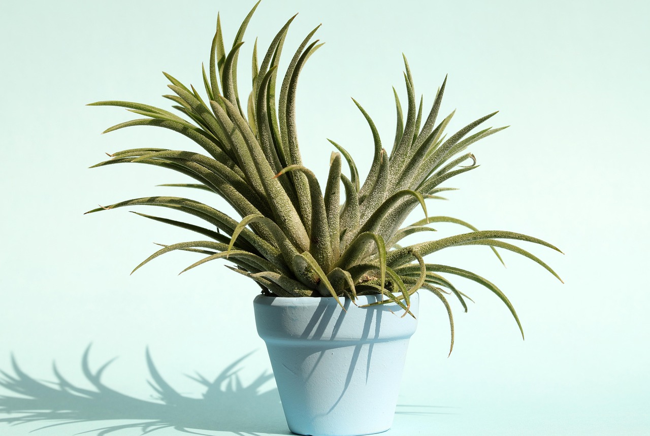 d&eacute;couvrez notre s&eacute;lection de mini pc compacts et performants, id&eacute;als pour optimiser votre espace tout en b&eacute;n&eacute;ficiant d'une puissance adapt&eacute;e &agrave; vos besoins informatiques.