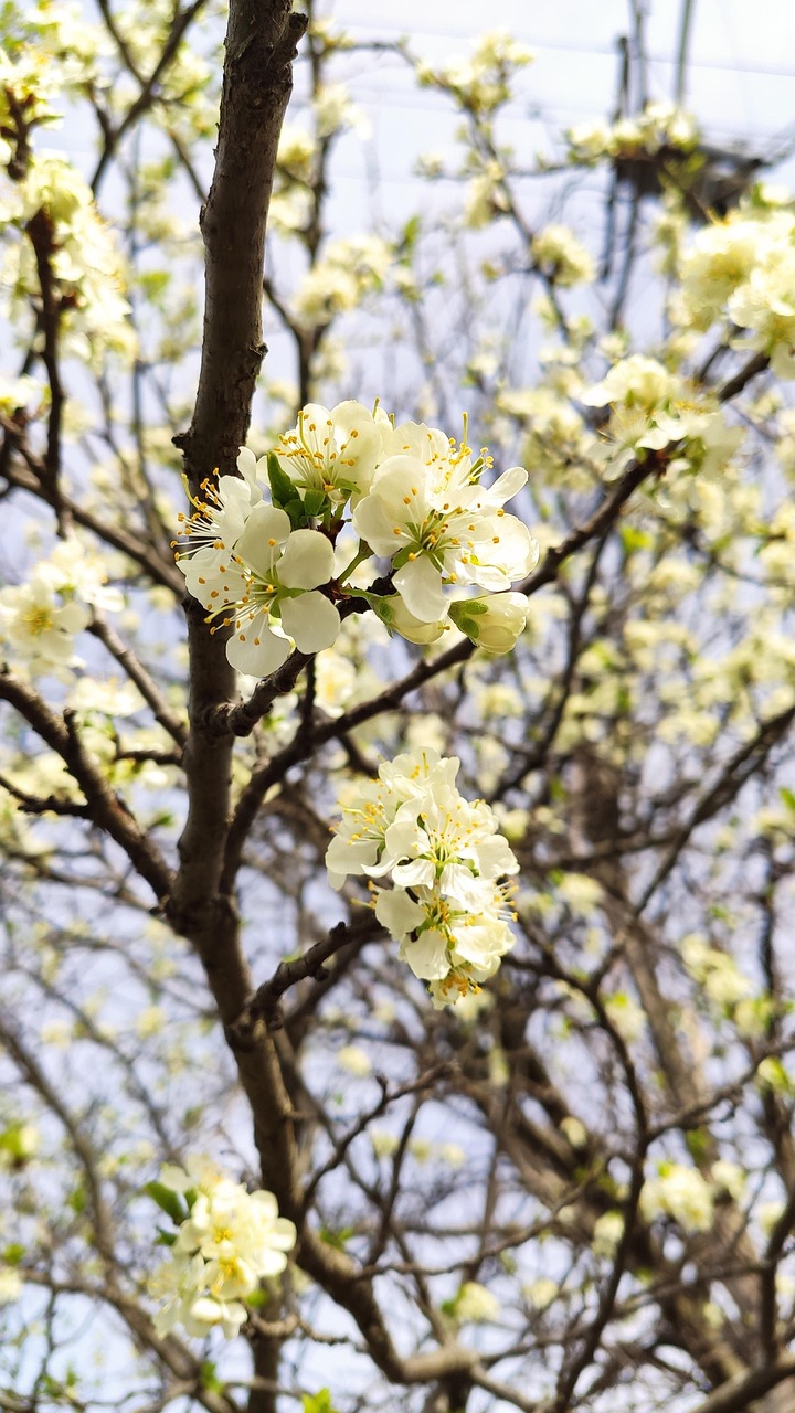 d&eacute;couvrez le mode class&eacute; pour affronter des joueurs de votre niveau et grimper dans les classements. am&eacute;liorez vos comp&eacute;tences et montrez votre talent en comp&eacute;tition !