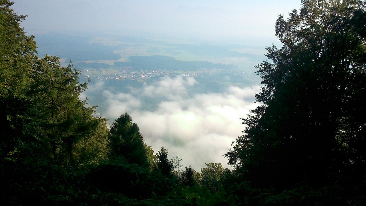 d&eacute;couvrez sora, une plateforme innovante d&eacute;di&eacute;e &agrave; la lecture num&eacute;rique, offrant un acc&egrave;s facile et rapide &agrave; une vaste collection de livres &eacute;lectroniques et audiobooks pour tous les &acirc;ges.